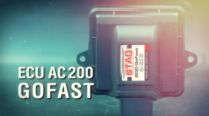 ECU AC200 GOFAST หงษ์ทองแก๊ส