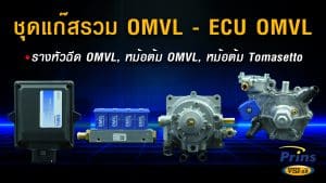 ชุดแก๊สรวม OMVL - ECU OMVL, รางหัวฉีด OMVL, หม้อต้ม OMVL, หม้อต้ม Tomasetto หงษ์ทองแก๊ส