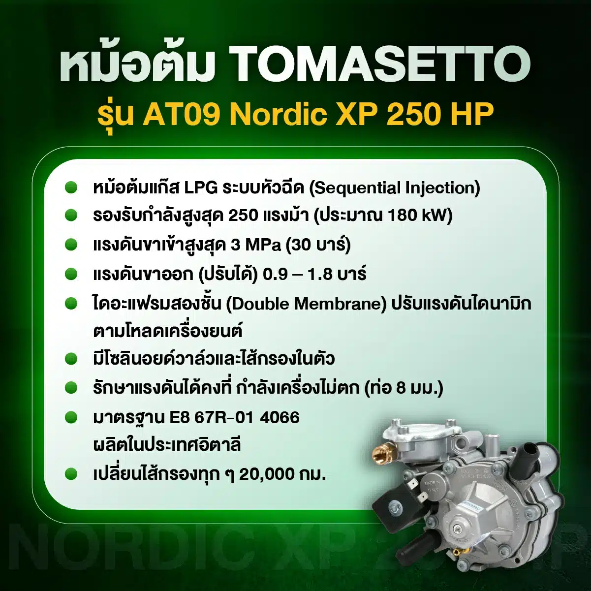 หม้อต้ม Tomastto AT09 Nordic XP 250 HP_PrinsEcoMax