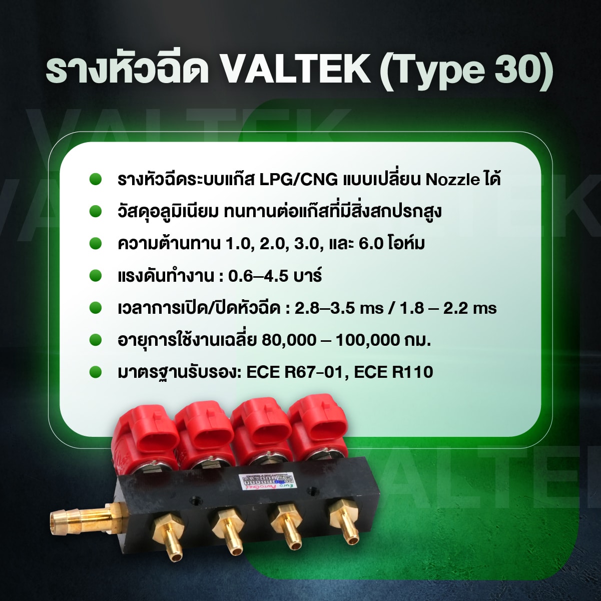 รางหัวฉีด Valtek_PrinsEcoMax